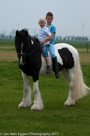 Fotoshoot Paarden